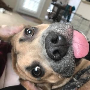 Meet your Posher, Skyler